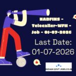 NABFINS Telecaller-WFH Recruitment 2026