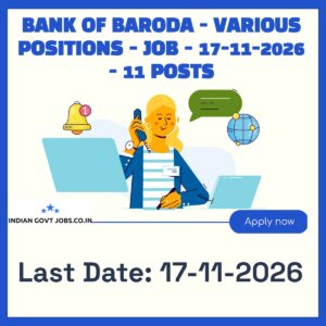 BOB Senior Manager - Project Finance – Infrastructure & ESG Recruitment 2026